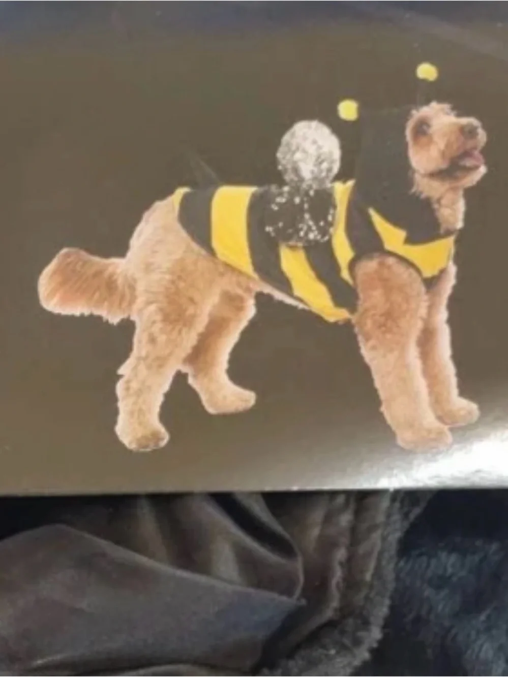 Small Bumblebee Pet Halloween Costume